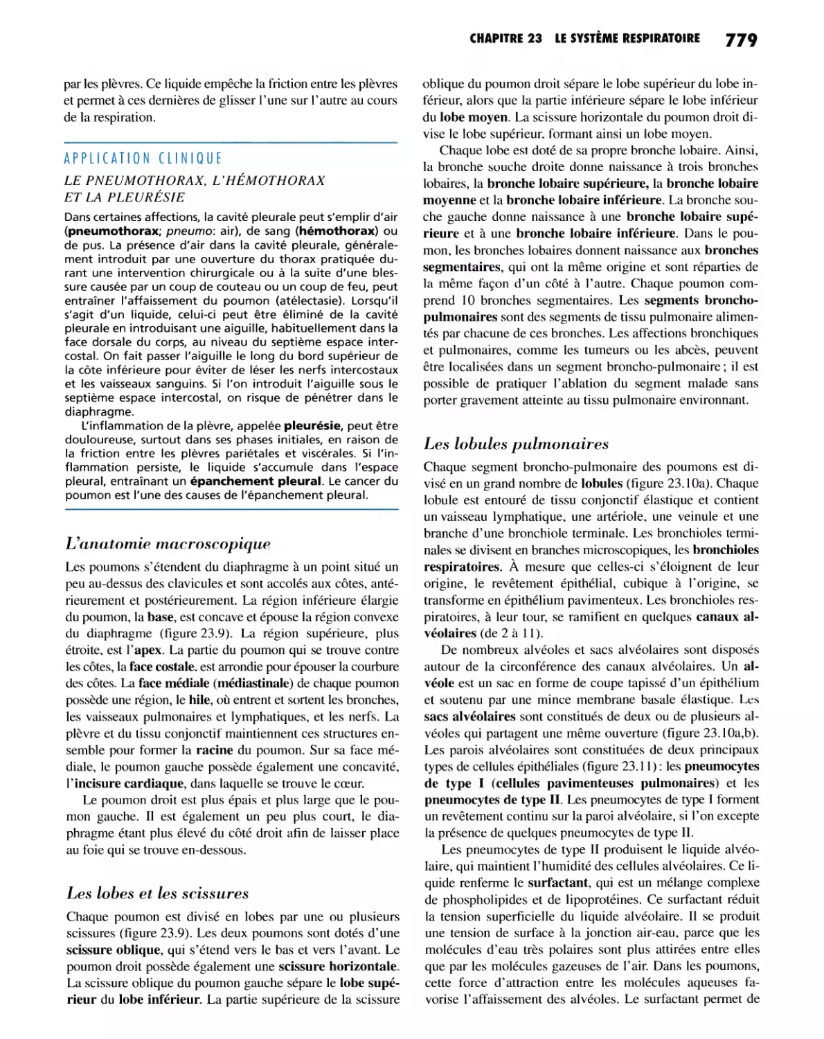 Les lobes et les scissures
Les lobules pulmonaires