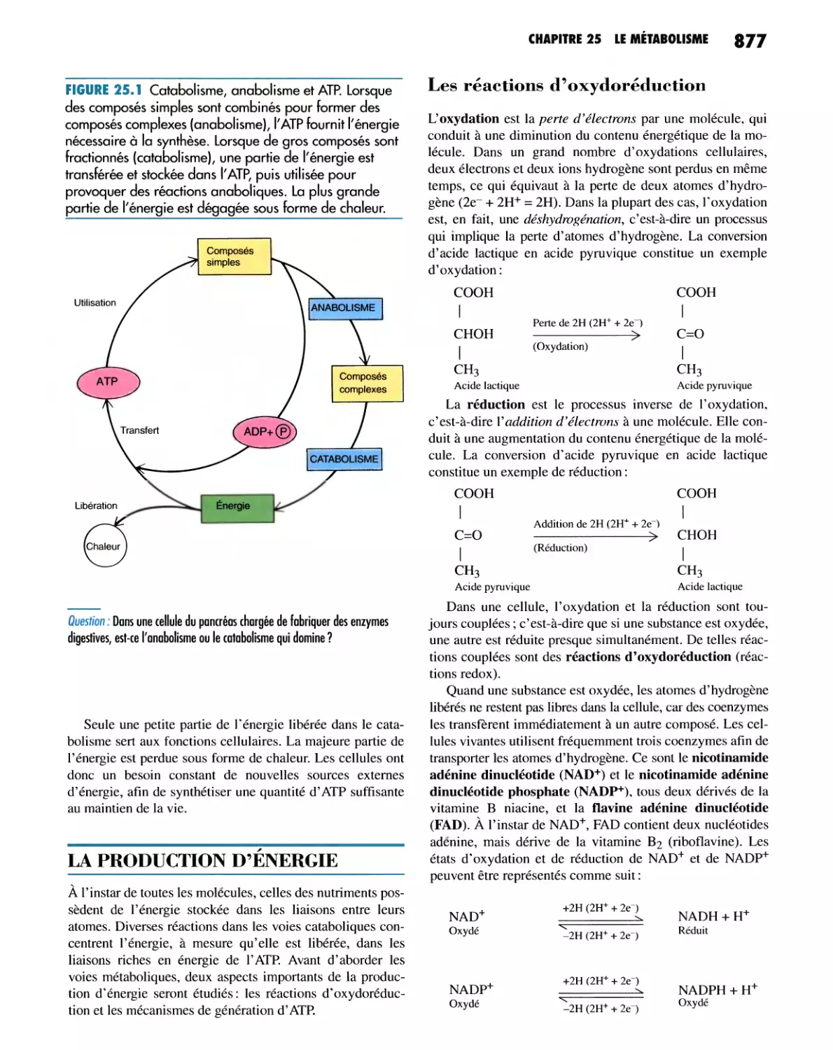 LA PRODUCTION D'ÉNERGIE