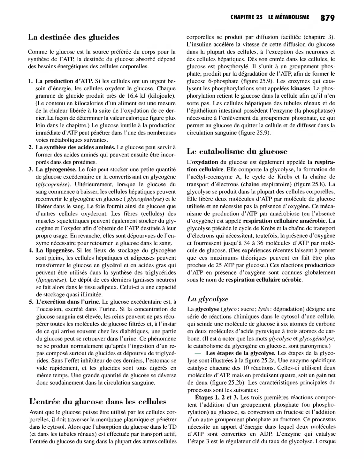 L'entrée du glucose dans les cellules
Le catabolisme du glucose