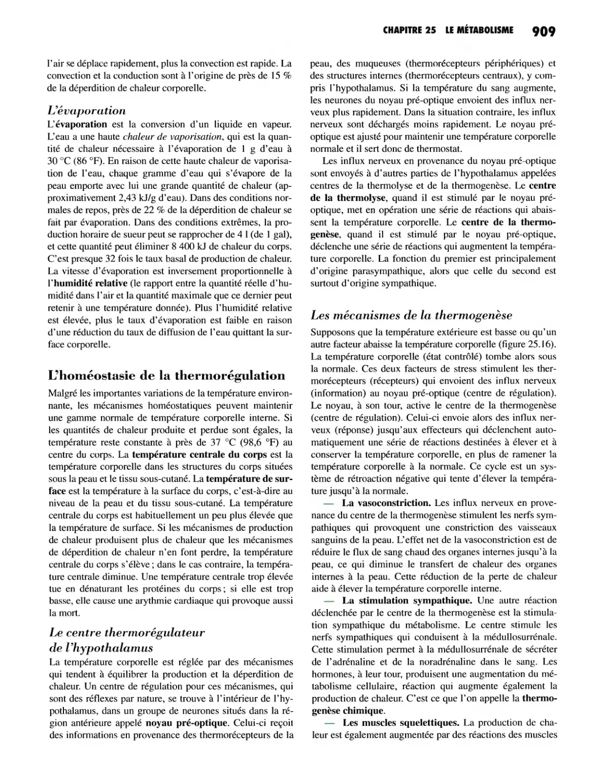 L'évaporation
L'homéostasie de la thermorégulation
Les mécanismes de la thermogenèse