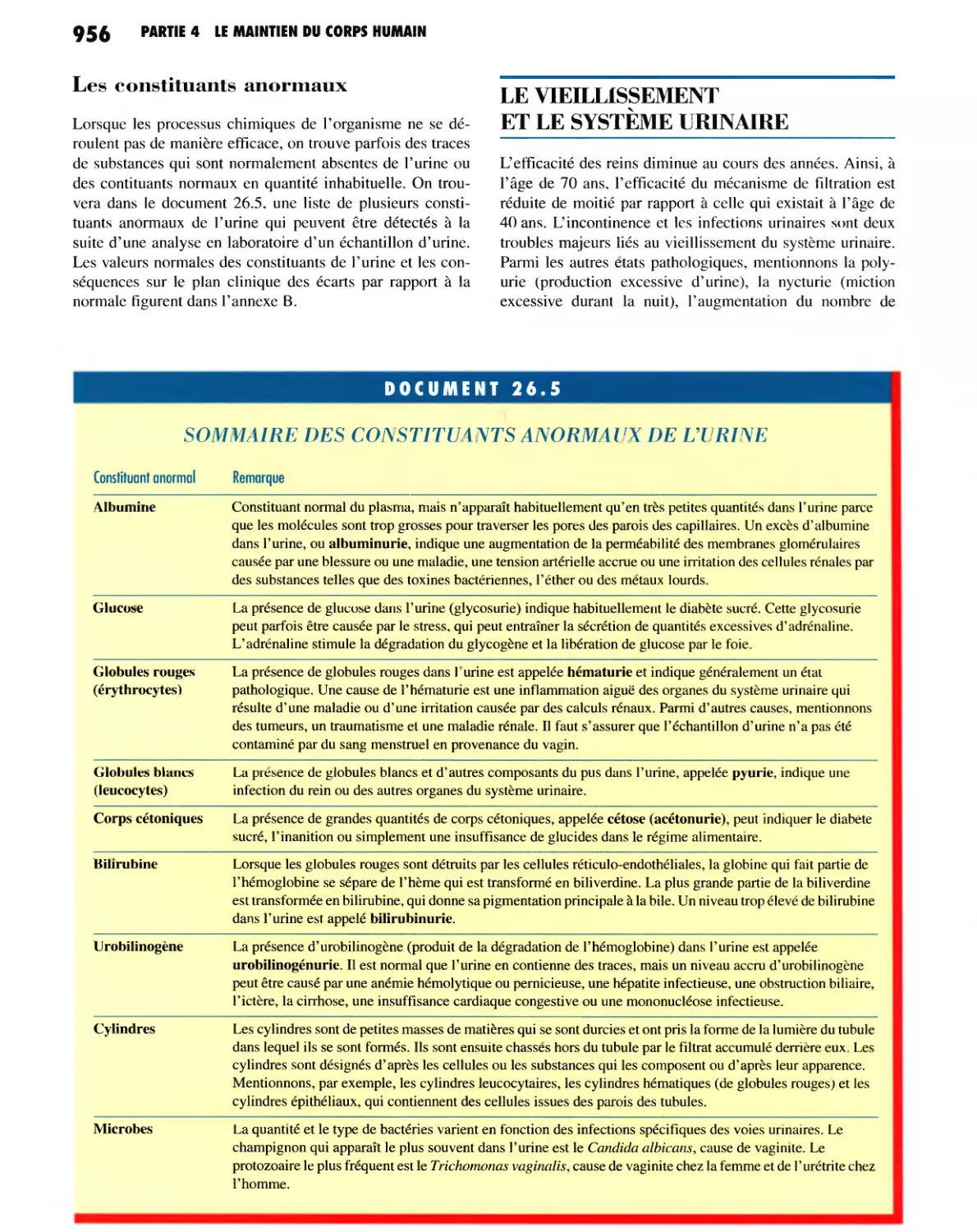 Les constituants anormaux
LE VIEILLISSEMENT ET LE SYSTÈME URINAIRE