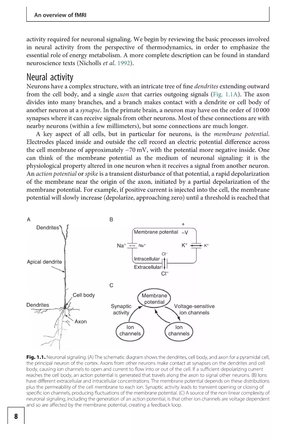 Neural activity