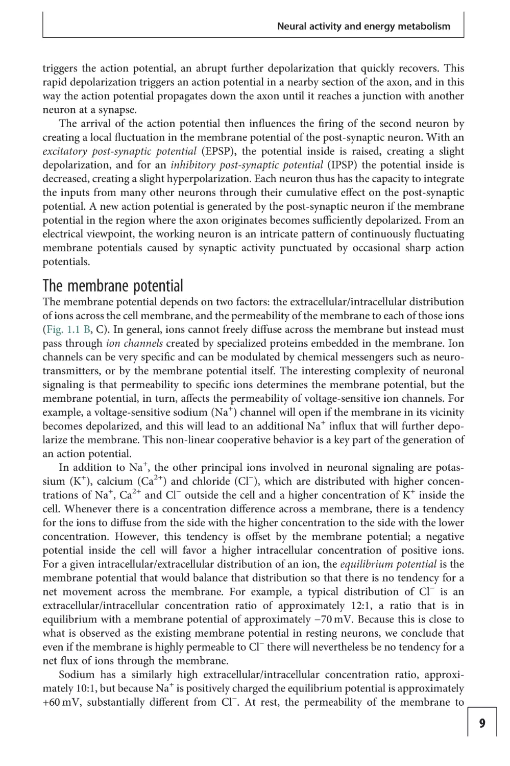 The membrane potential