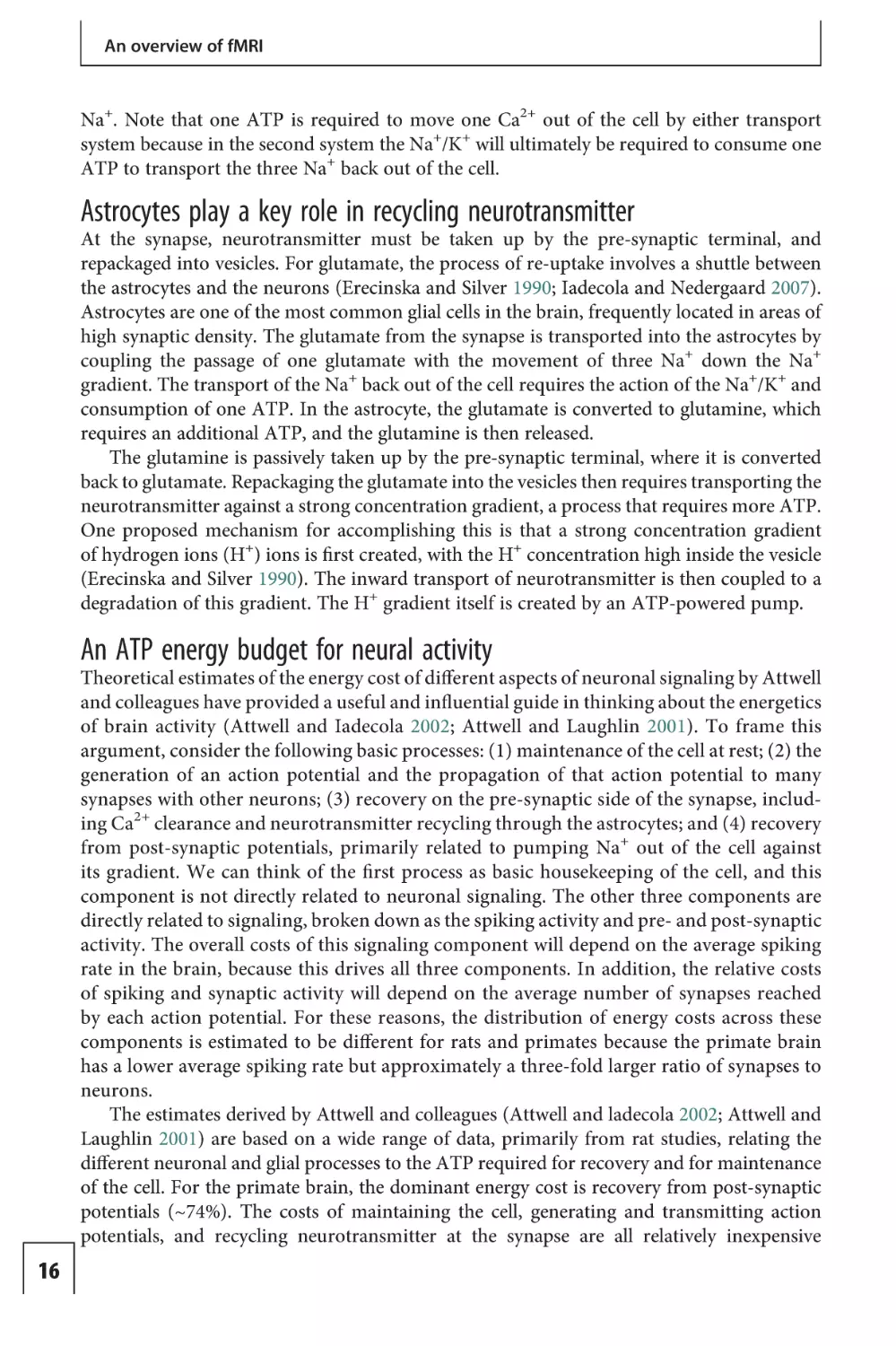 Astrocytes play a key role in recycling neurotransmitter
An ATP energy budget for neural activity