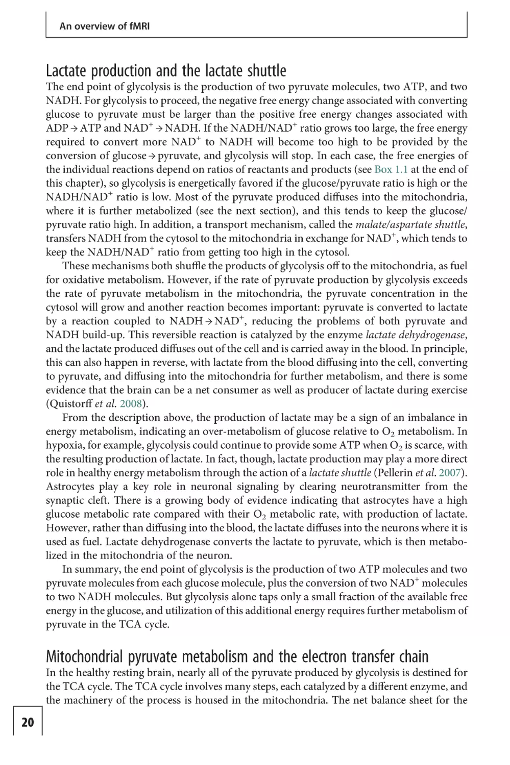 Lactate production and the lactate shuttle
Mitochondrial pyruvate metabolism and the electron transfer chain