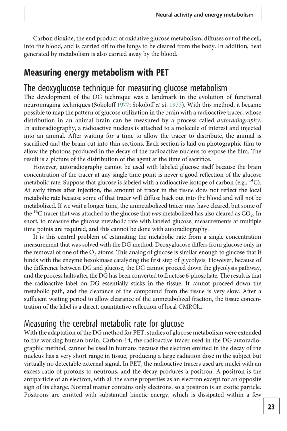Measuring energy metabolism with PET
The deoxyglucose technique for measuring glucose metabolism
Measuring the cerebral metabolic rate for glucose