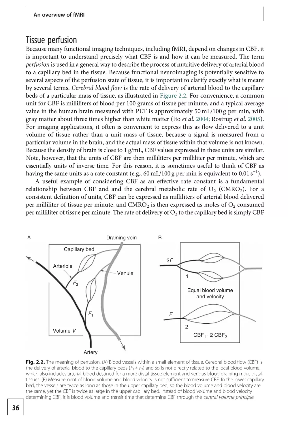 Tissue perfusion