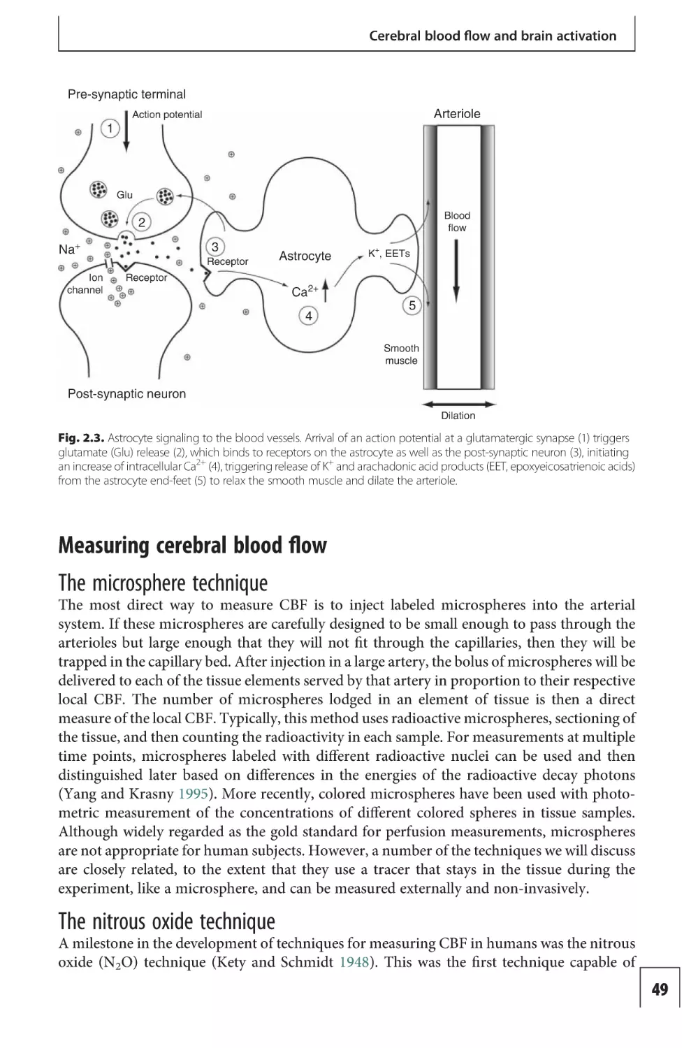 Measuring cerebral blood flow
The microsphere technique
The nitrous oxide technique