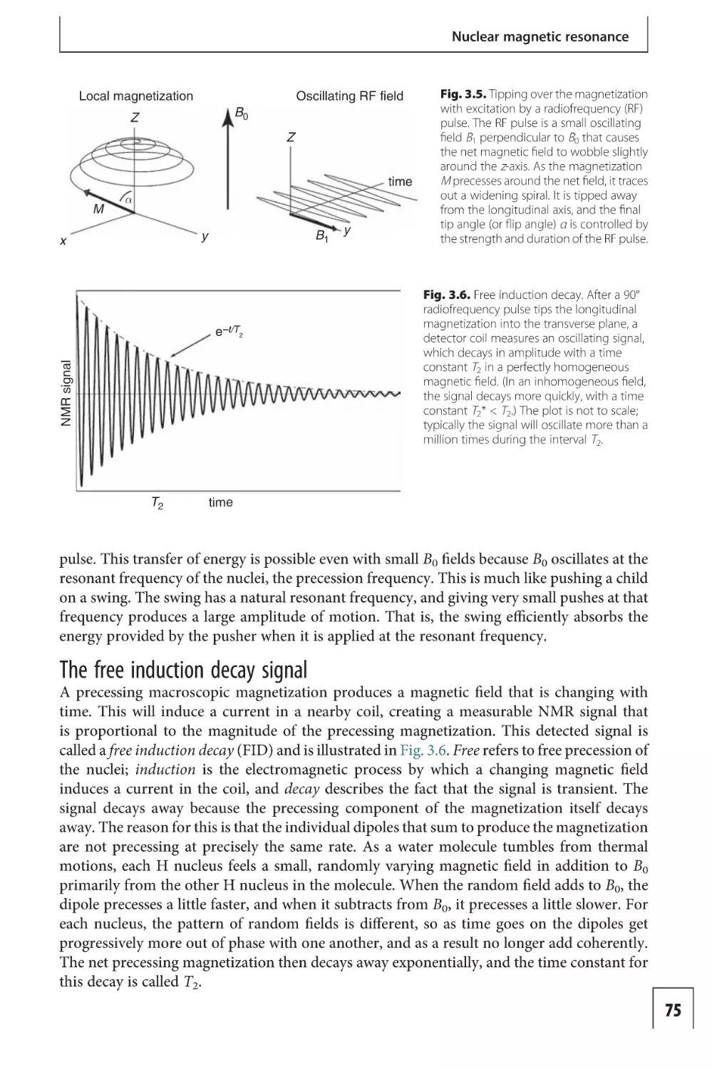 The free induction decay signal