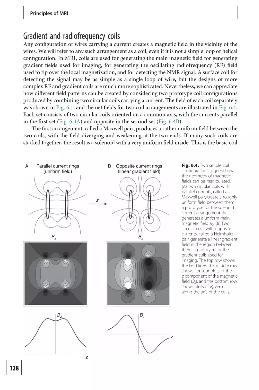 Gradient and radiofrequency coils