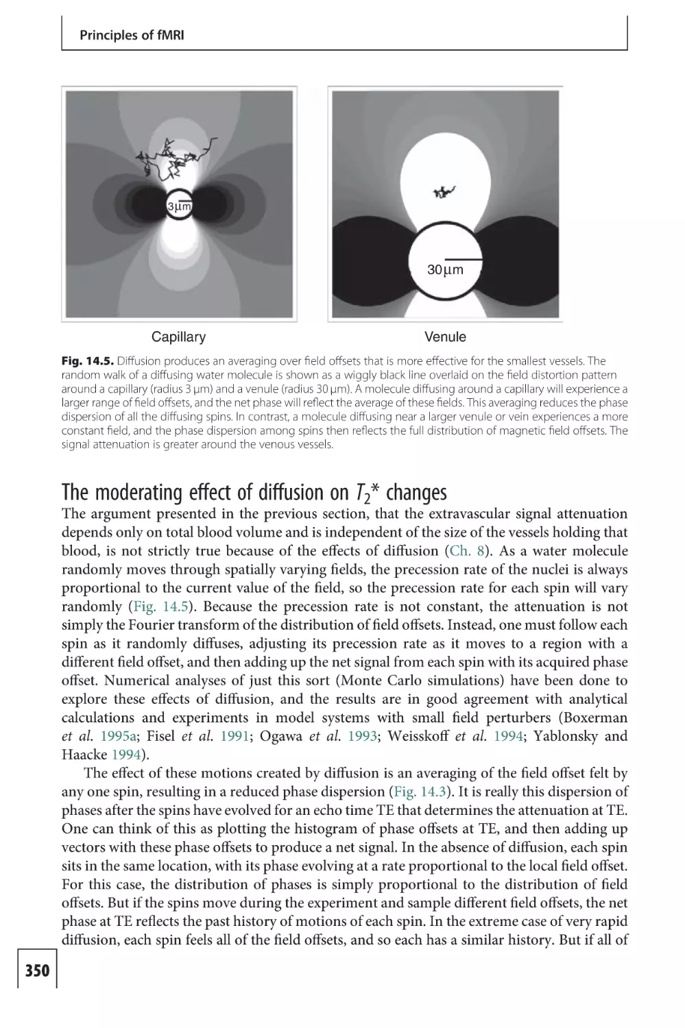 The moderating effect of diffusion on T2 changes