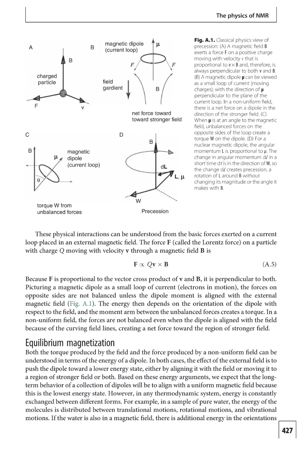 Equilibrium magnetization