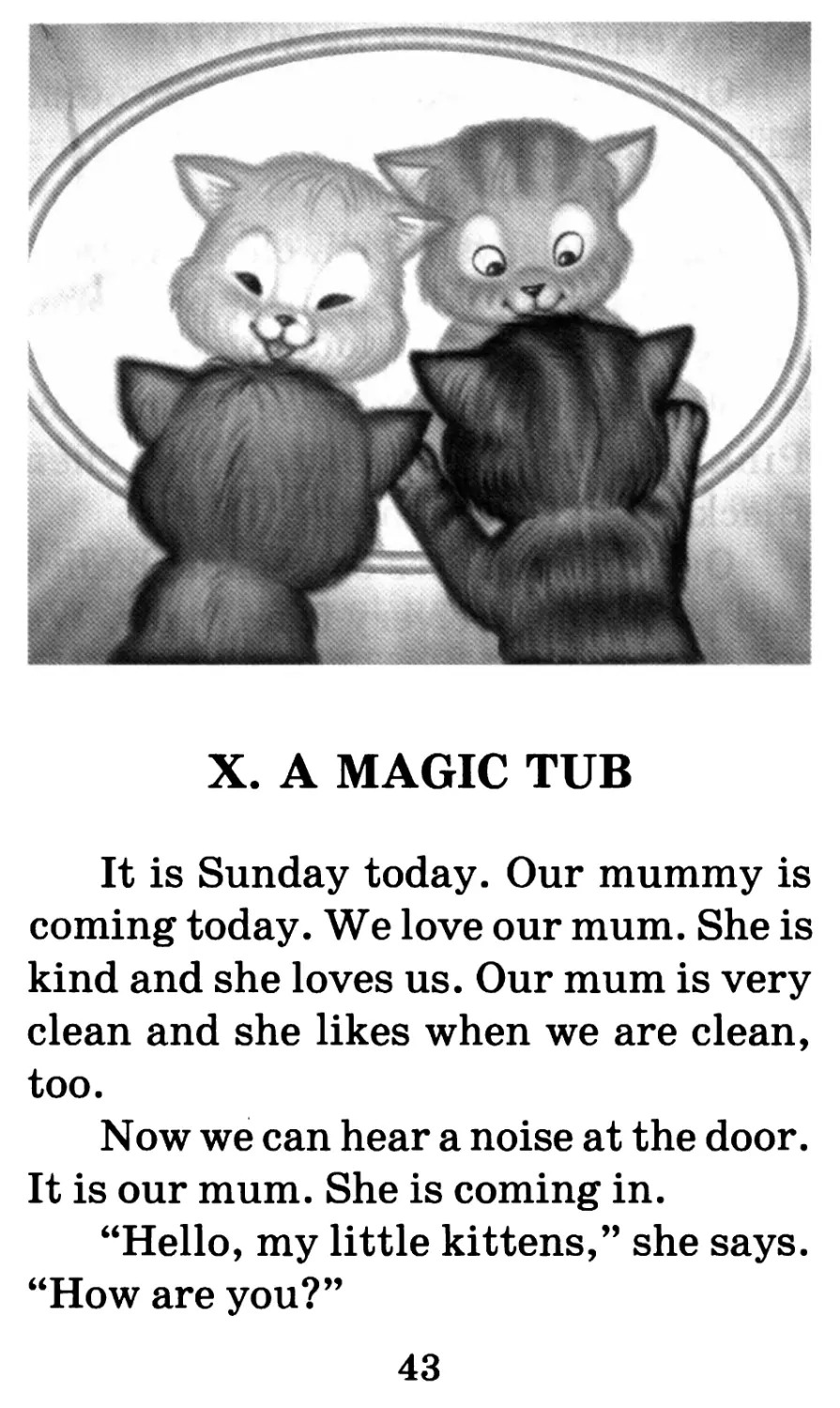 X. A Magic Tub