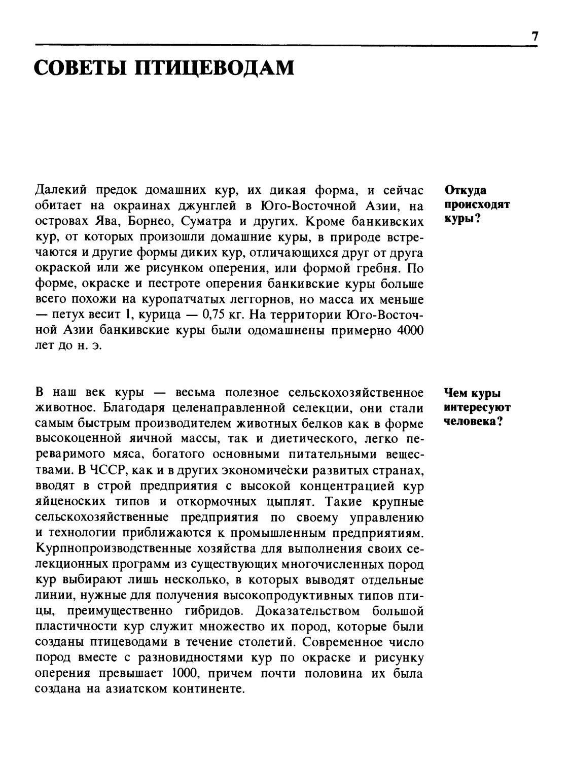 Советы птицеводам
Чем куры интересуют человека?