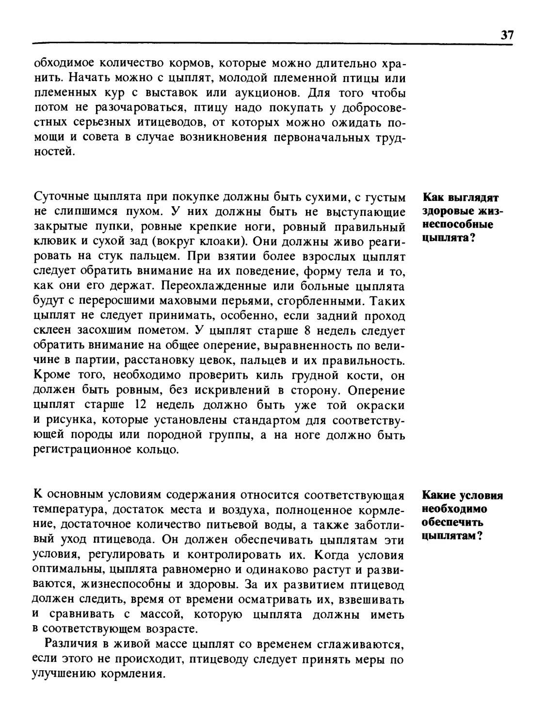 Как выглядят здоровые жизнеспособные цыплята?
Какие условия необходимо обеспечить цыплятам?