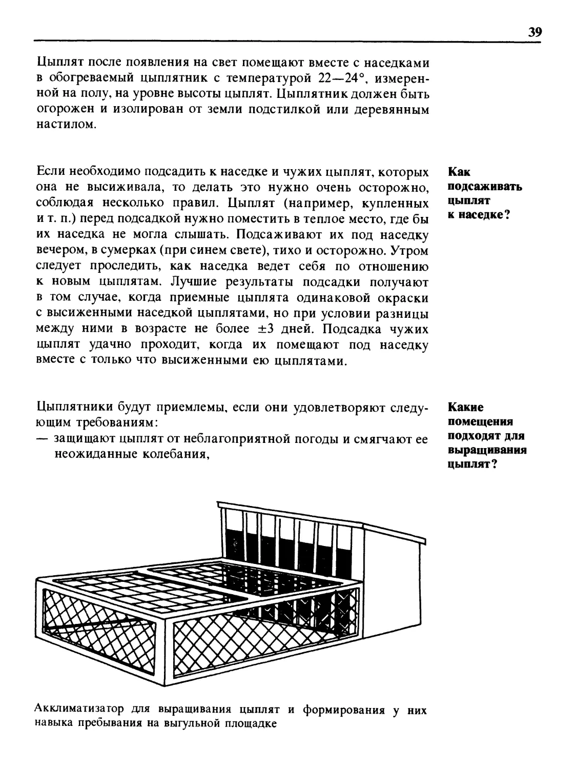 Как подсаживать цыплят к наседке?
Какие помещения подходят для выращивания цыплят?