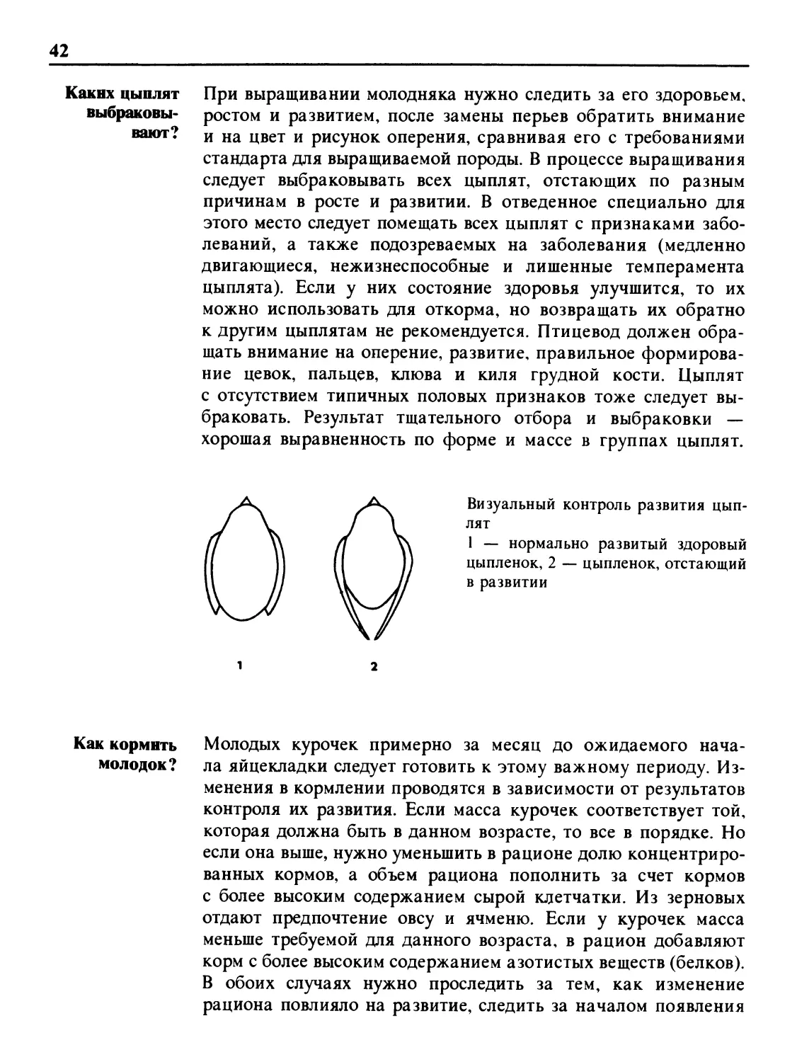 Каких цыплят выбраковывают?
Как кормить молодок?