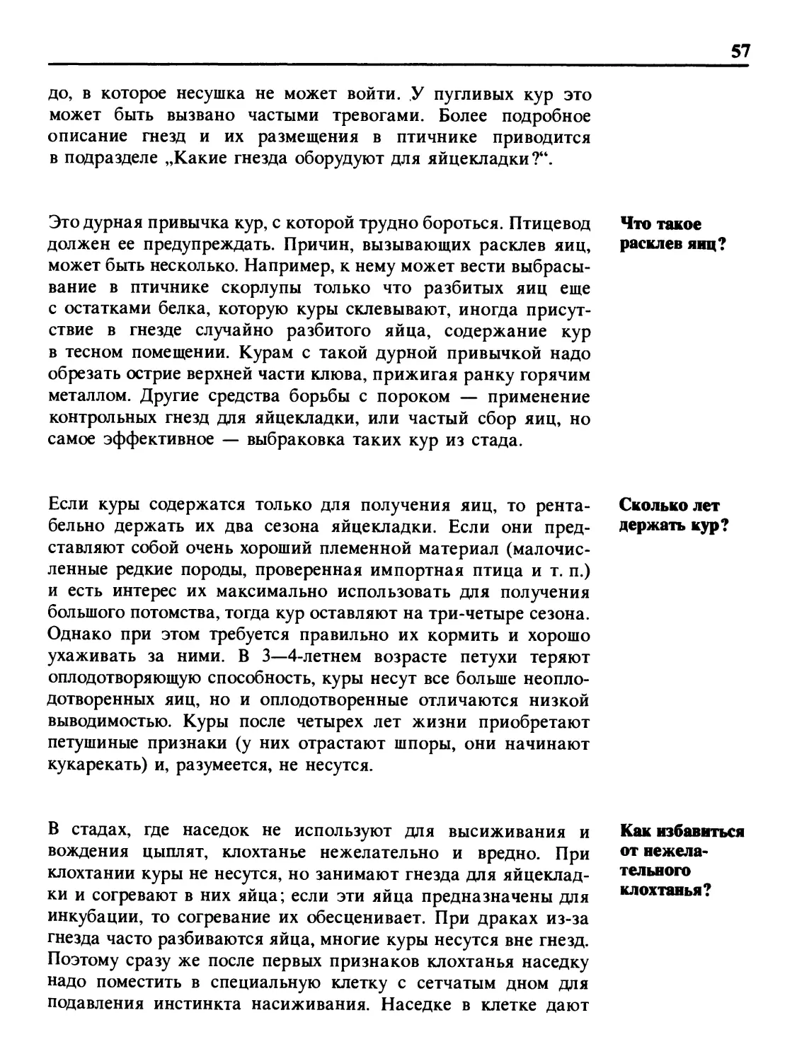 Что такое расклев яиц?
Сколько лет держать кур?
Как избавиться от нежелательного клохтанья?