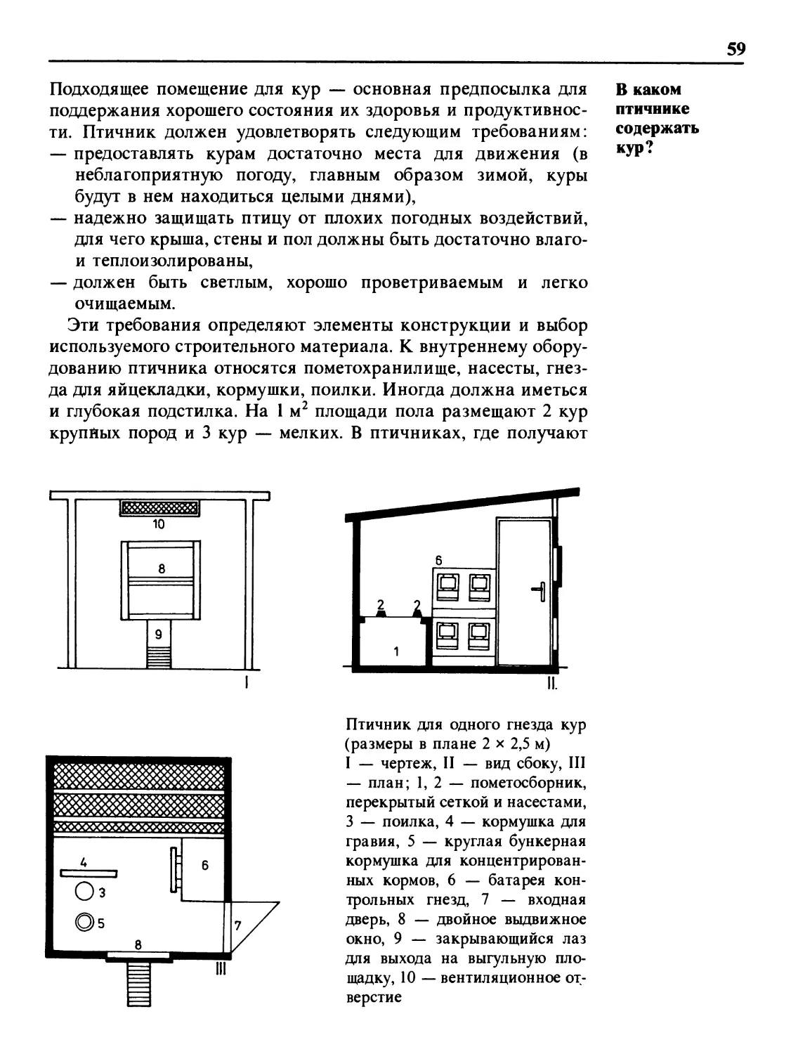 В каком птичнике содержать кур?