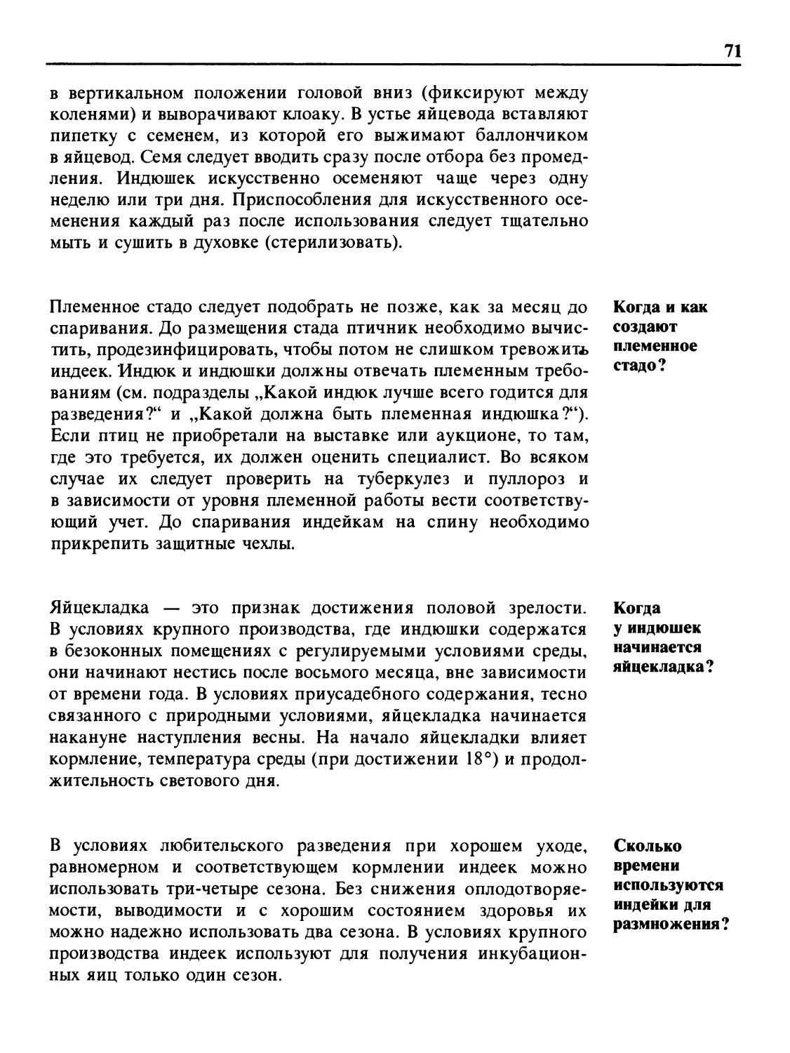 Когда и как создают племенное стадо?
Когда у индюшек начинается яйцекладка?
Сколько времени используются индейки для размножения?