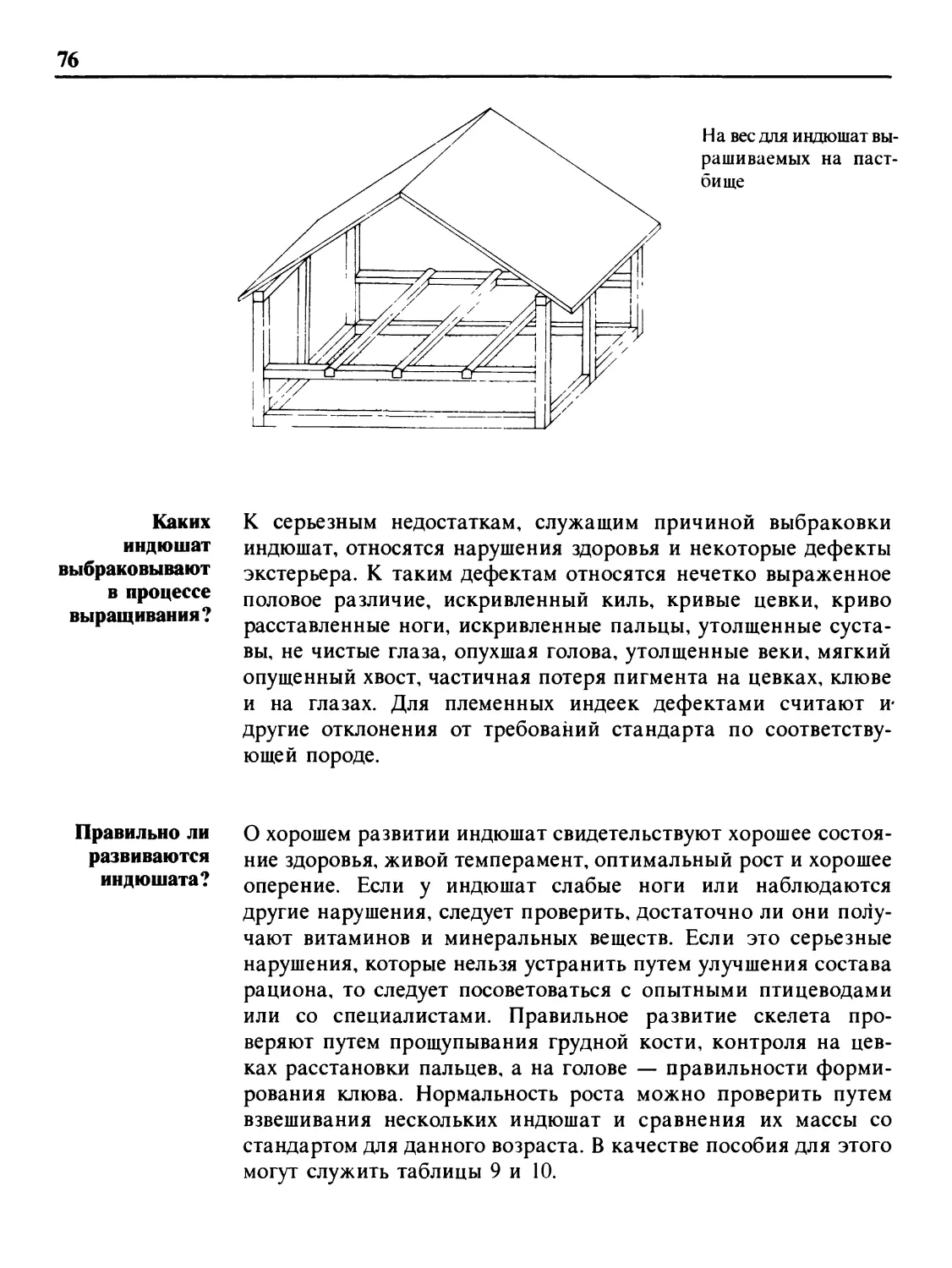 Каких индюшат выбраковывают в процессе выращивания?
Правильно ли развиваются индюшата?