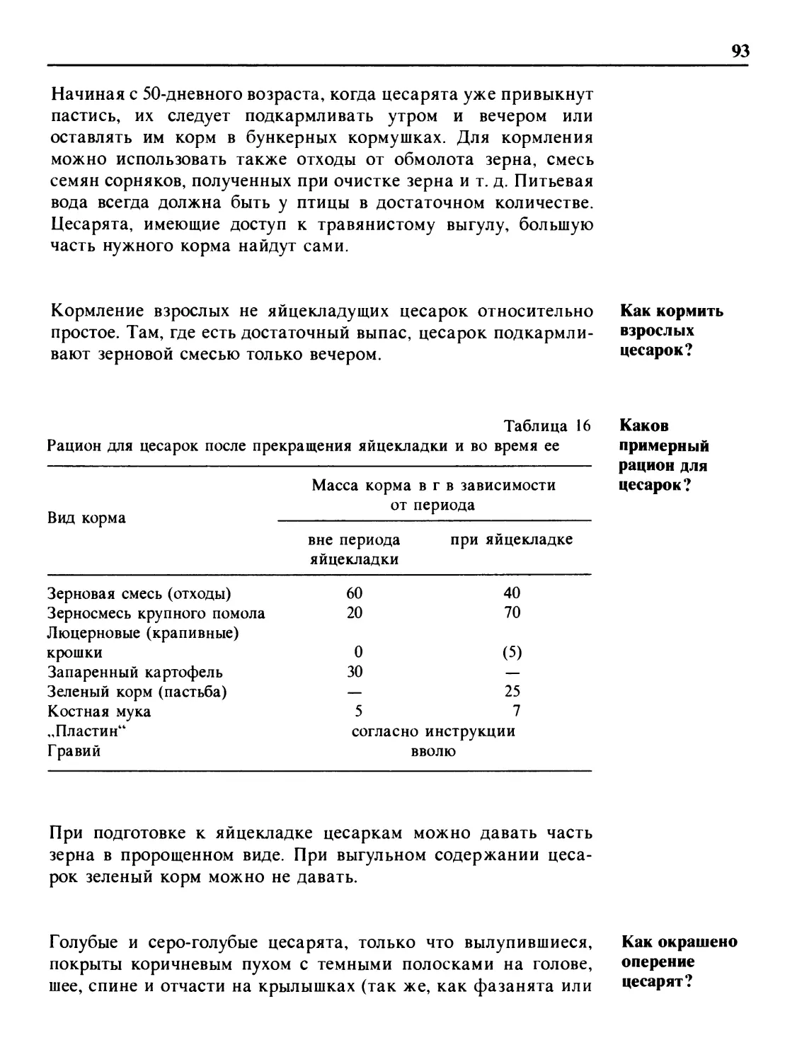 Как кормить взрослых цесарок?
Каков примерный рацион для цесарок?
Как окрашено оперение цесарят?