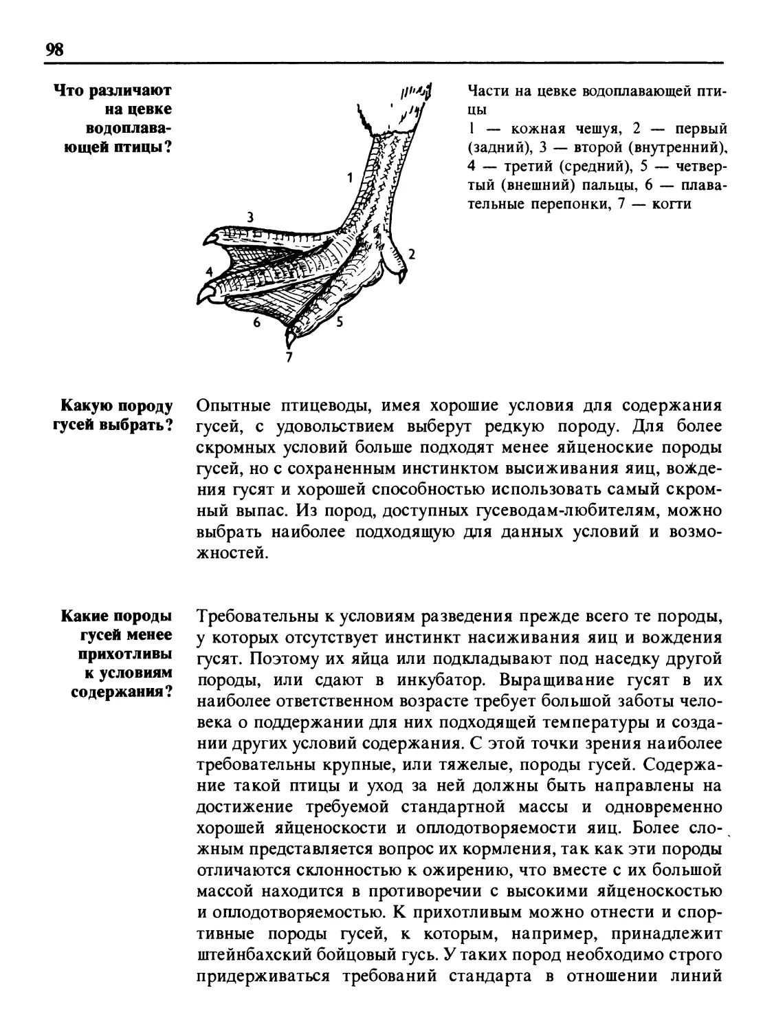 Что различают на цевке водоплавающей птицы?
Какую породу гусей выбрать?
Какие породы гусей менее прихотливы к условиям содержания?