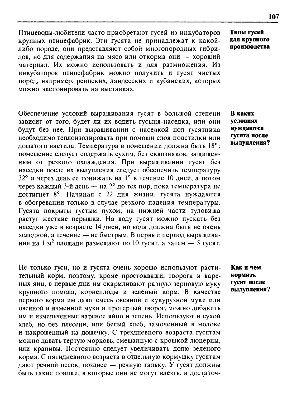 Типы гусей для крупного производства
В каких условиях нуждаются гусята после вылупления?
Как и чем кормить гусят после вылупления?