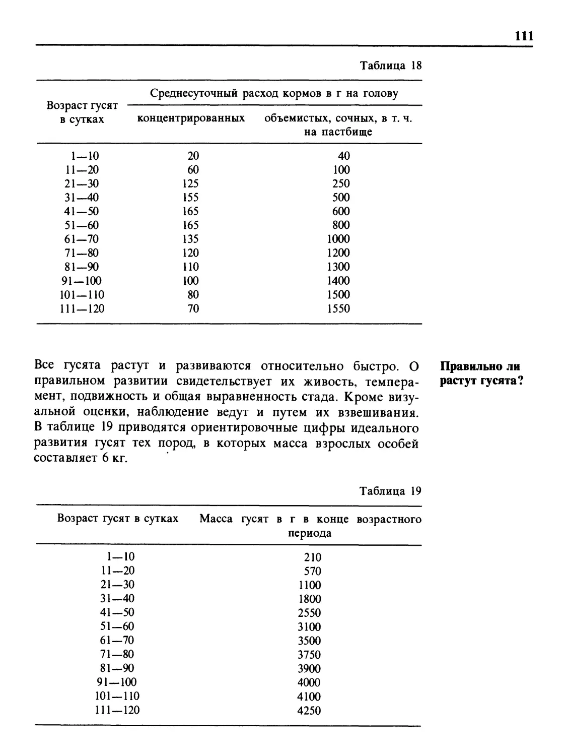 Правильно ли растут гусята?