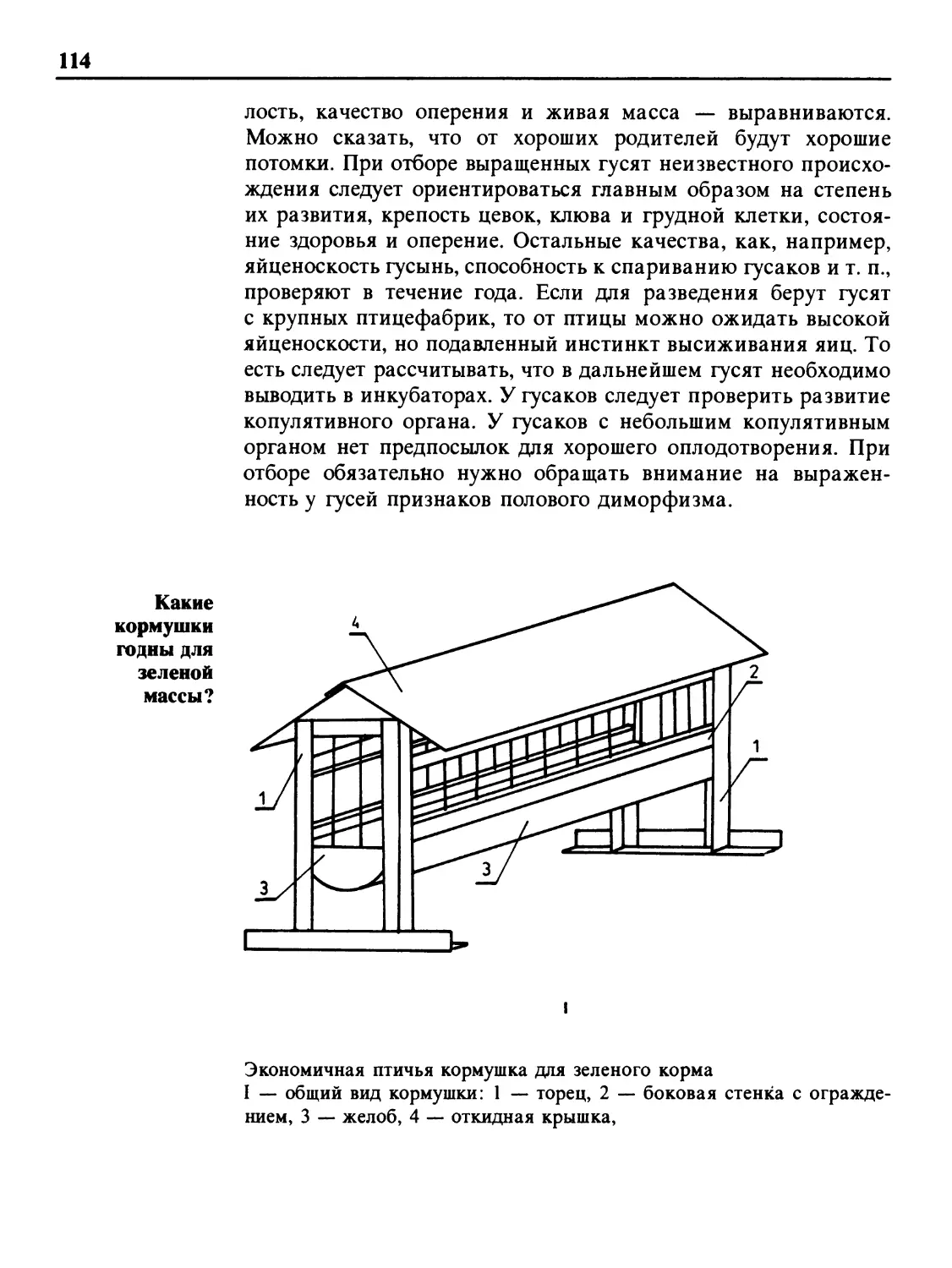 Какие кормушки годны для зеленой массы?