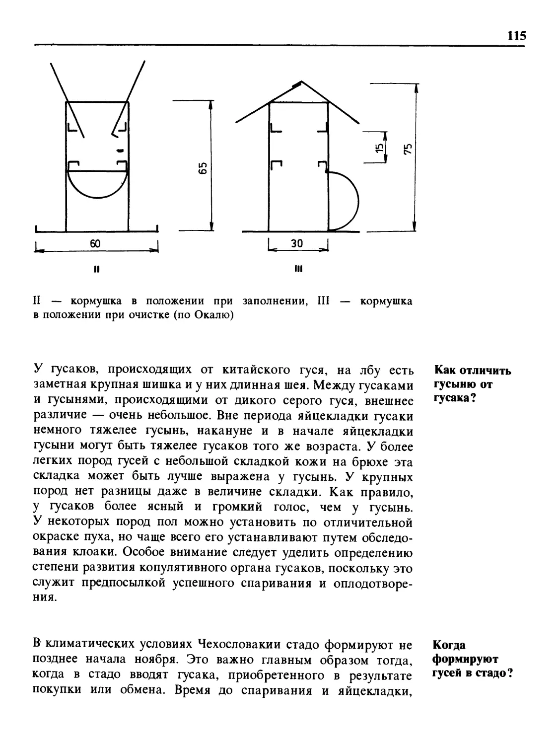 Как отличить гусыню от гусака?
Когда формируют гусей в стадо?