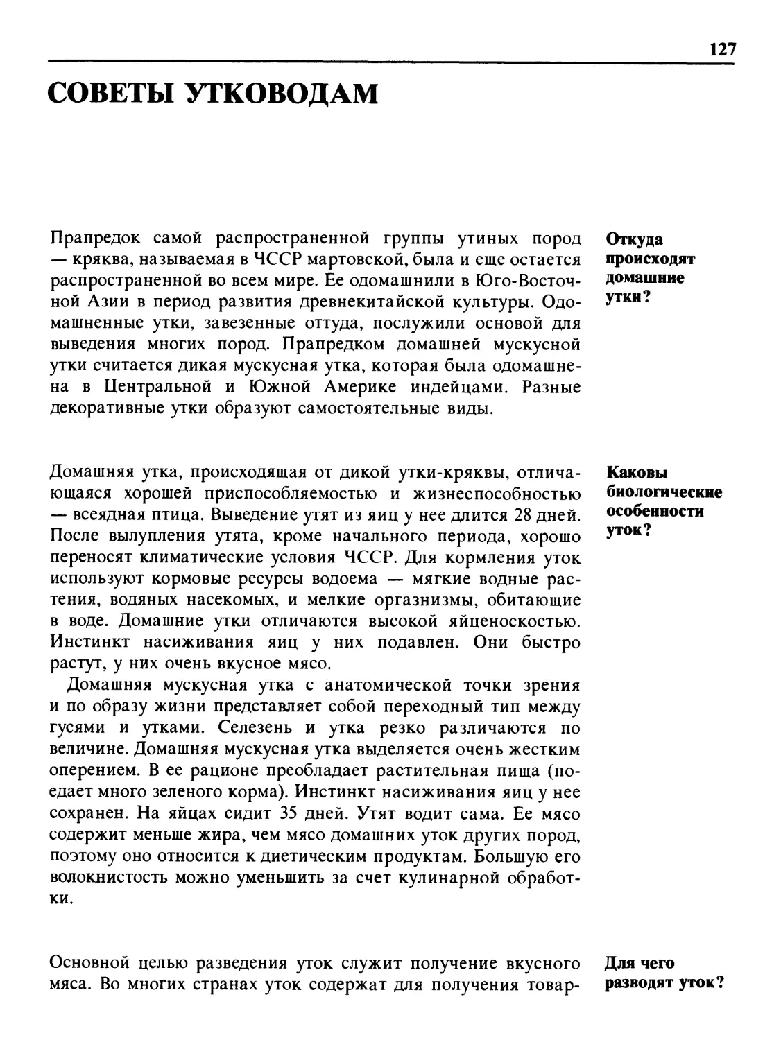 Советы утководам
Каковы биологические особенности уток?
Для чего разводят уток?