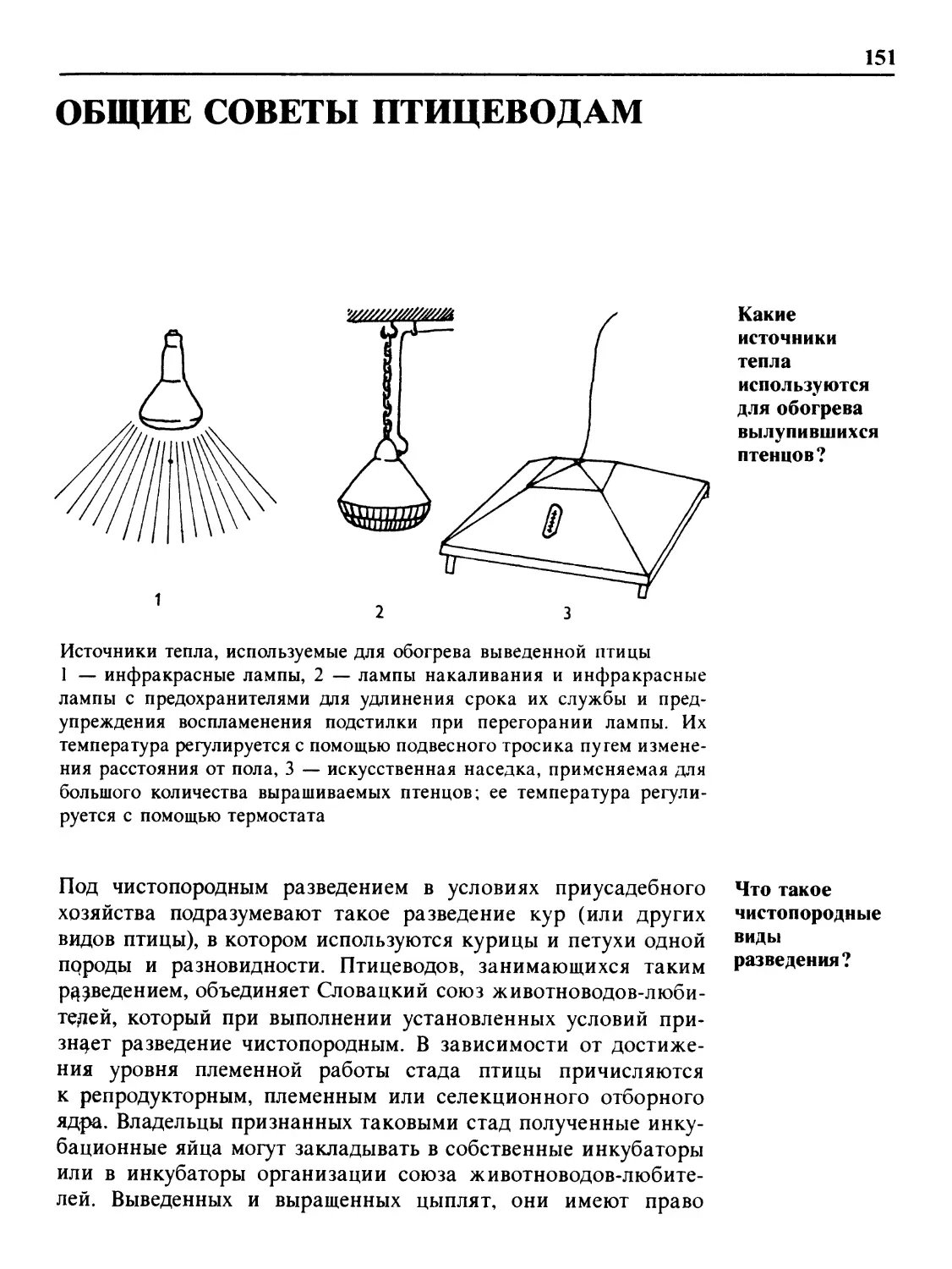 Общие советы птицеводам
Что такое чистопородные виды разведения?