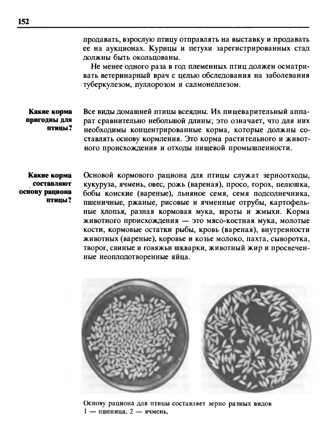 Какие корма пригодны для птицы?
Какие корма составляют основу рациона птицы?