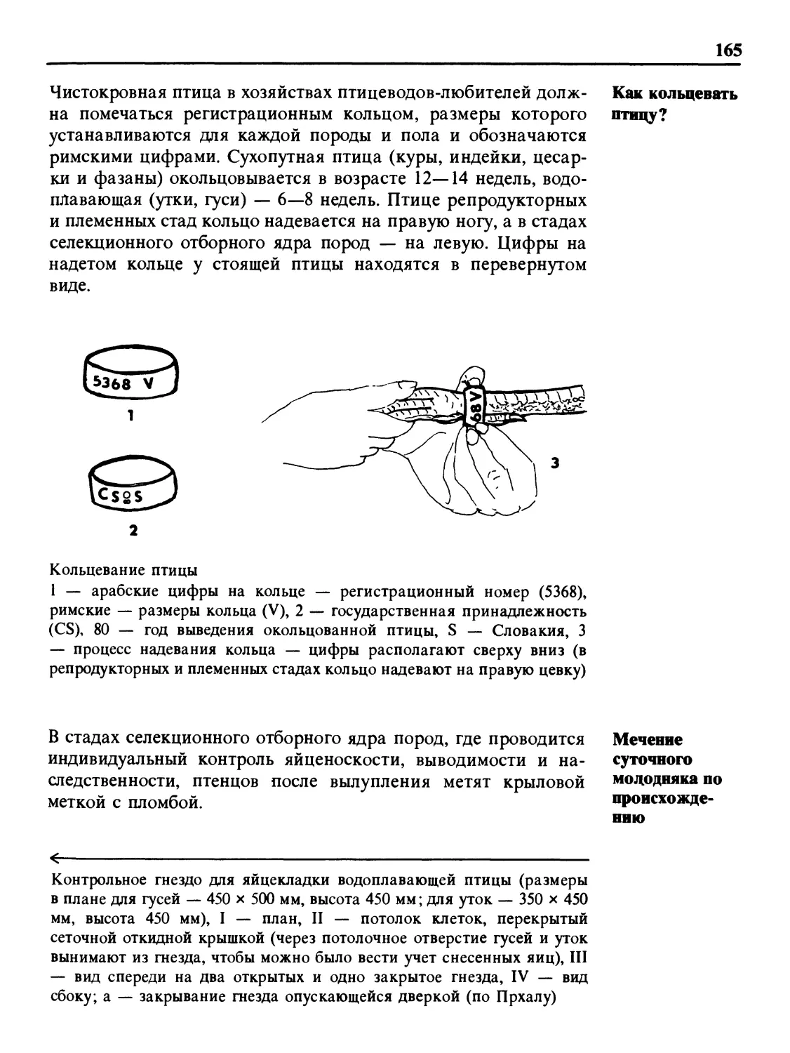 Как кольцевать птицу?
Мечение суточного молодняка по происхождению