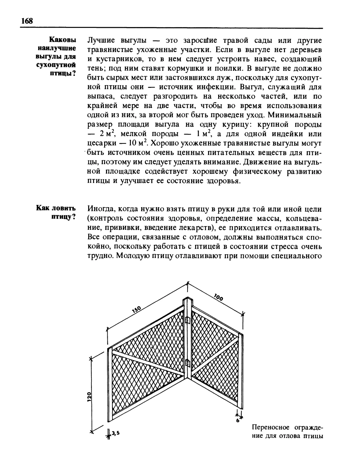 Каковы наилучшие выгулы для сухопутной птицы?
Как ловить птицу?