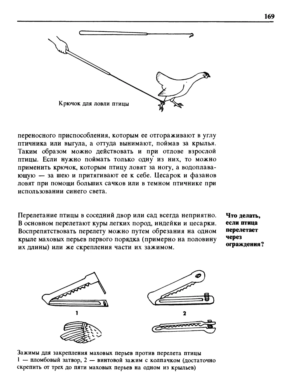 Что делать, если птица перелетает через ограждения?