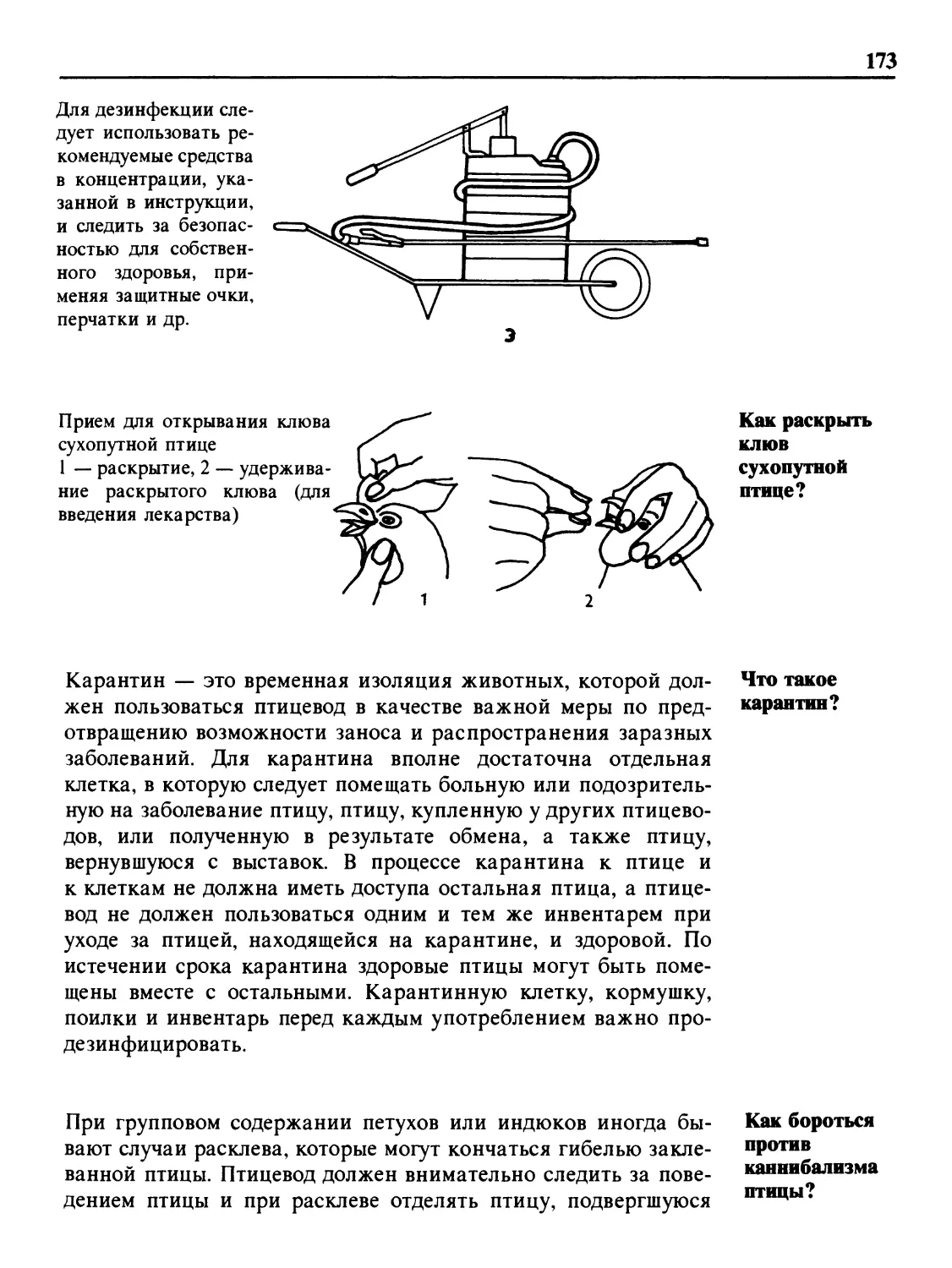 Как раскрыть клюв сухопутной птице?
Что такое карантин?
Как бороться против каннибализма птицы?