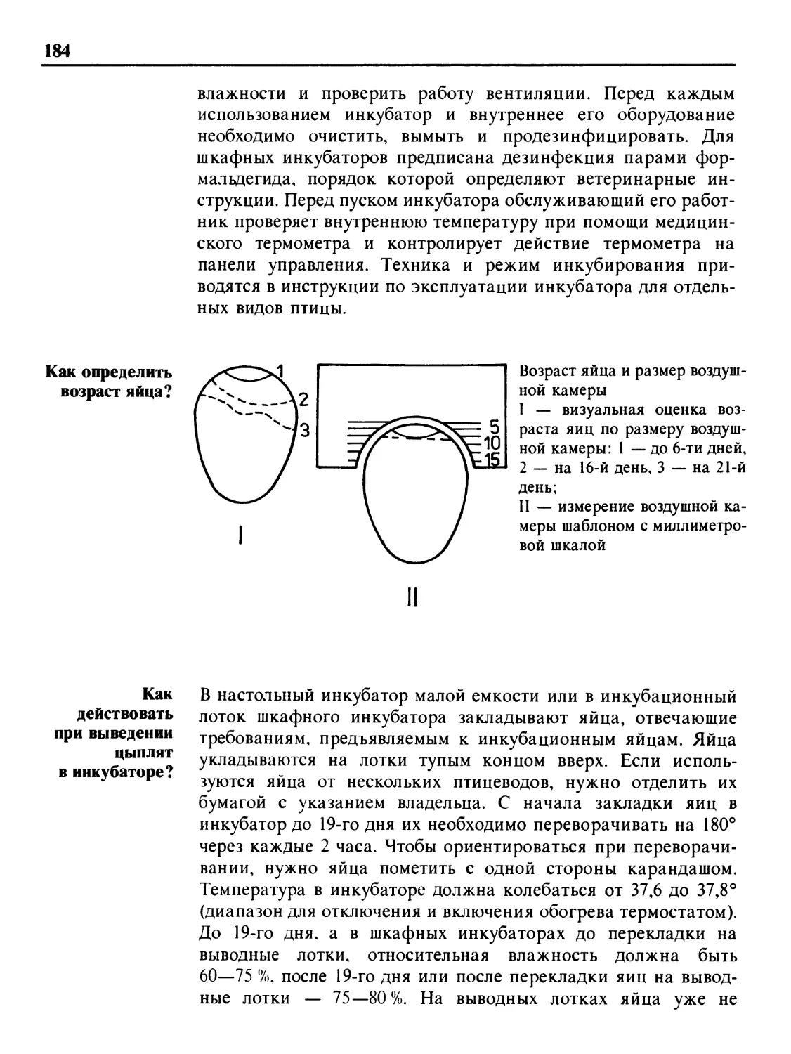 Как определить возраст яйца?
Как действовать при выведении цыплят в инкубаторе?