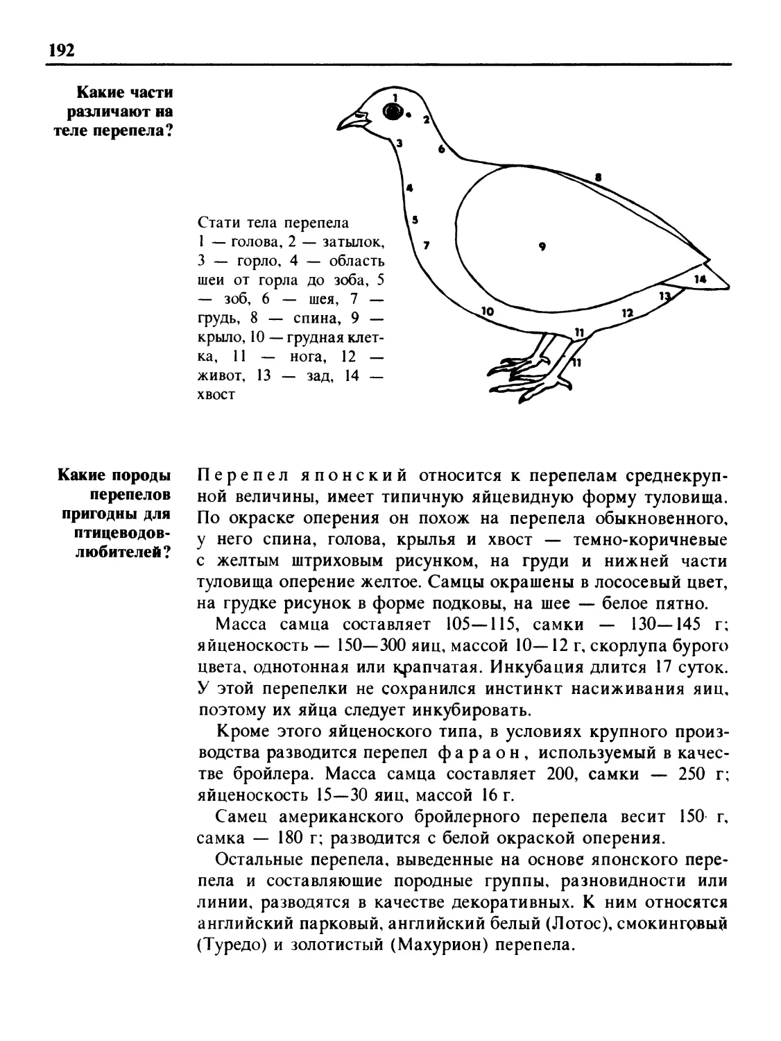 Какие части различают на теле перепела?
Какие породы перепелов пригодны для птицеводов-любителей?
