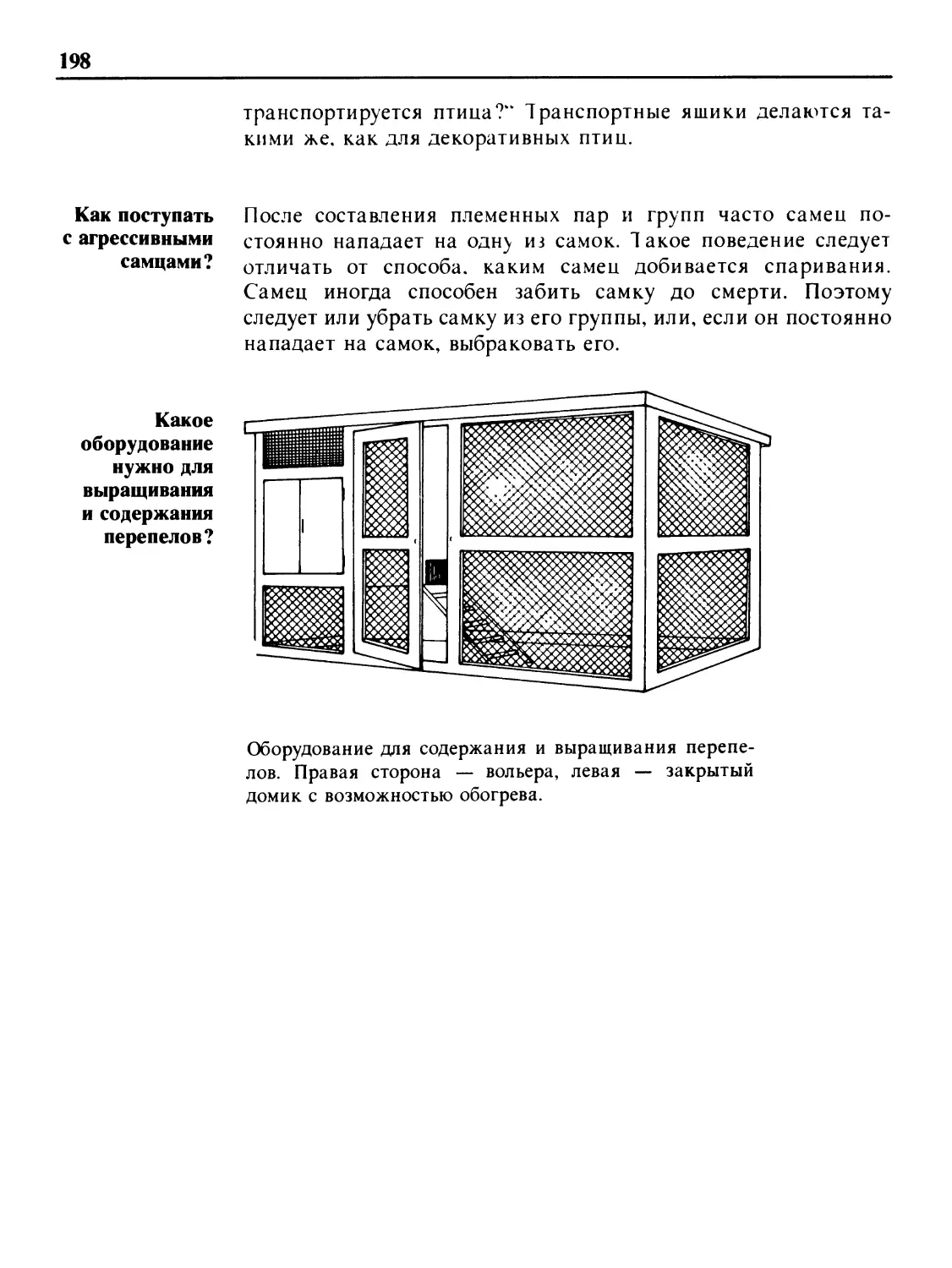 Как поступать с агрессивными самцами?
Какое оборудование нужно для выращивания и содержания перепелов?