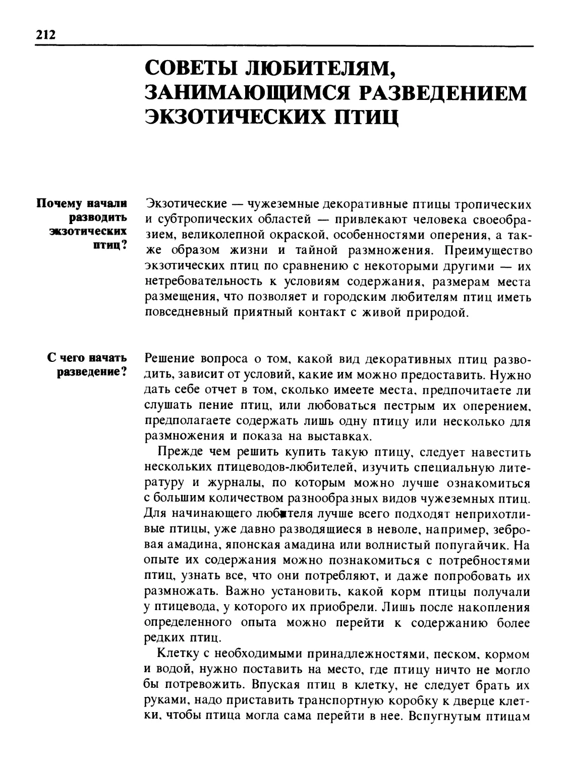 Советы любителям, занимающимся разведением экзотических птиц
С чего начать разведение?