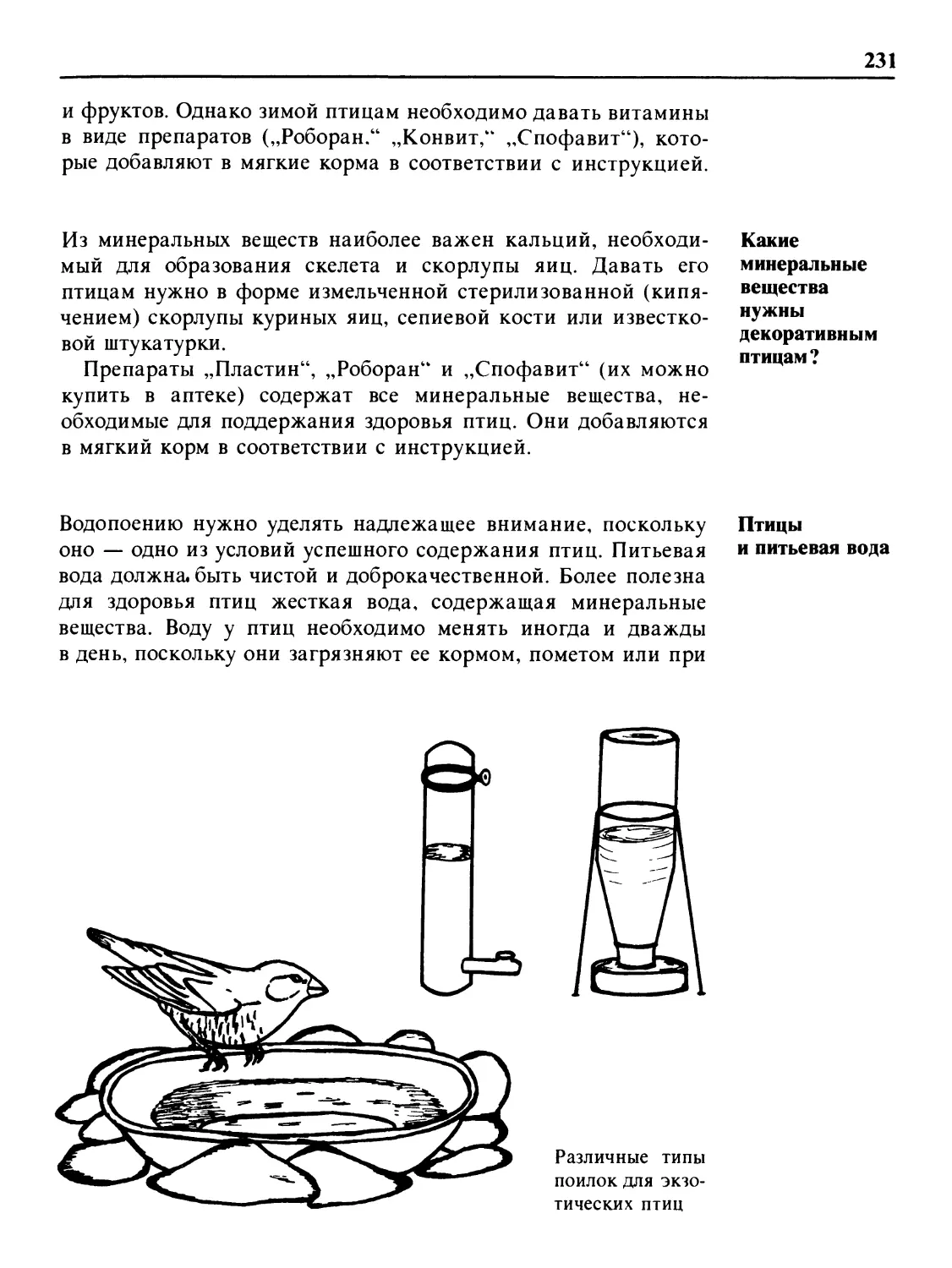 Какие минеральные вещества нужны декоративным птицам?
Птицы и питьевая вода