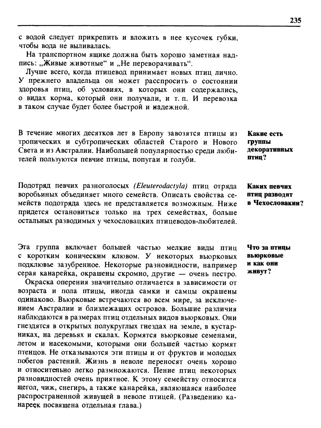 Какие есть группы декоративных птиц?
Каких певчих птиц разводят в Чехословакии?
Что за птицы вьюрковые и как они живут?