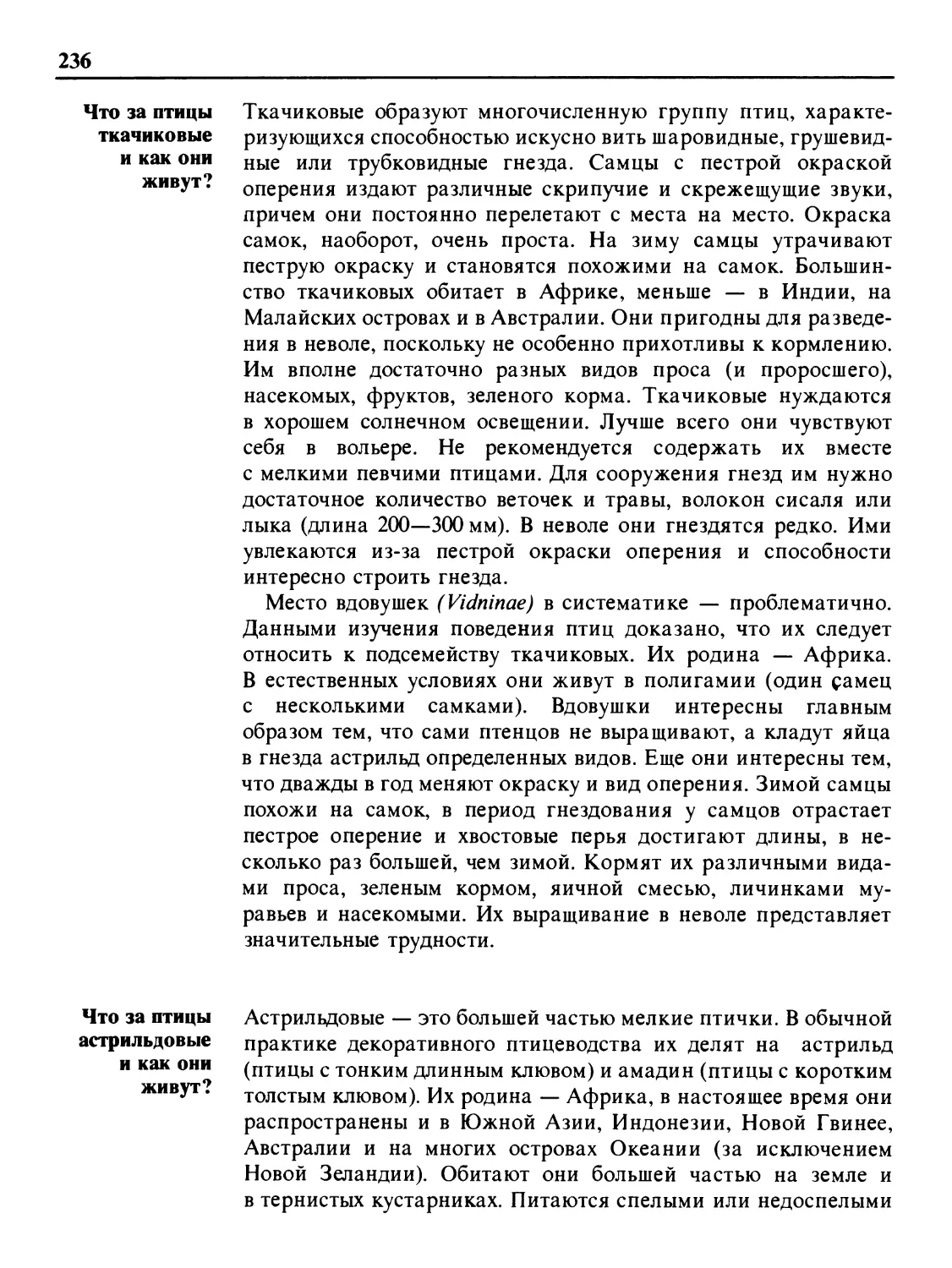 Что за птицы ткачиковые и как они живут?
Что за птицы астрильдовые и как они живут?