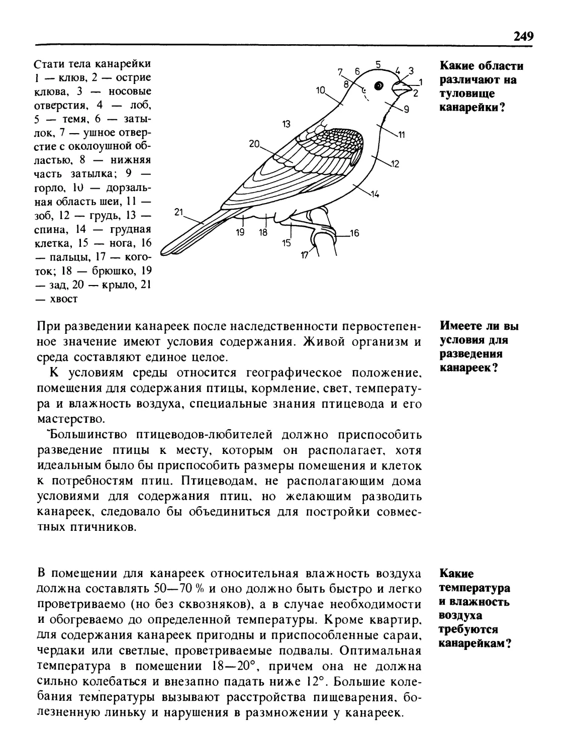 Какие области различают на туловище канарейки?
Имеете ли вы условия для разведения канареек?
Какие температура и влажность воздуха требуются канарейкам?