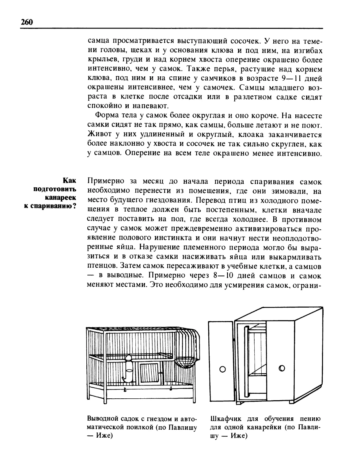 Как подготовить канареек к спариванию?