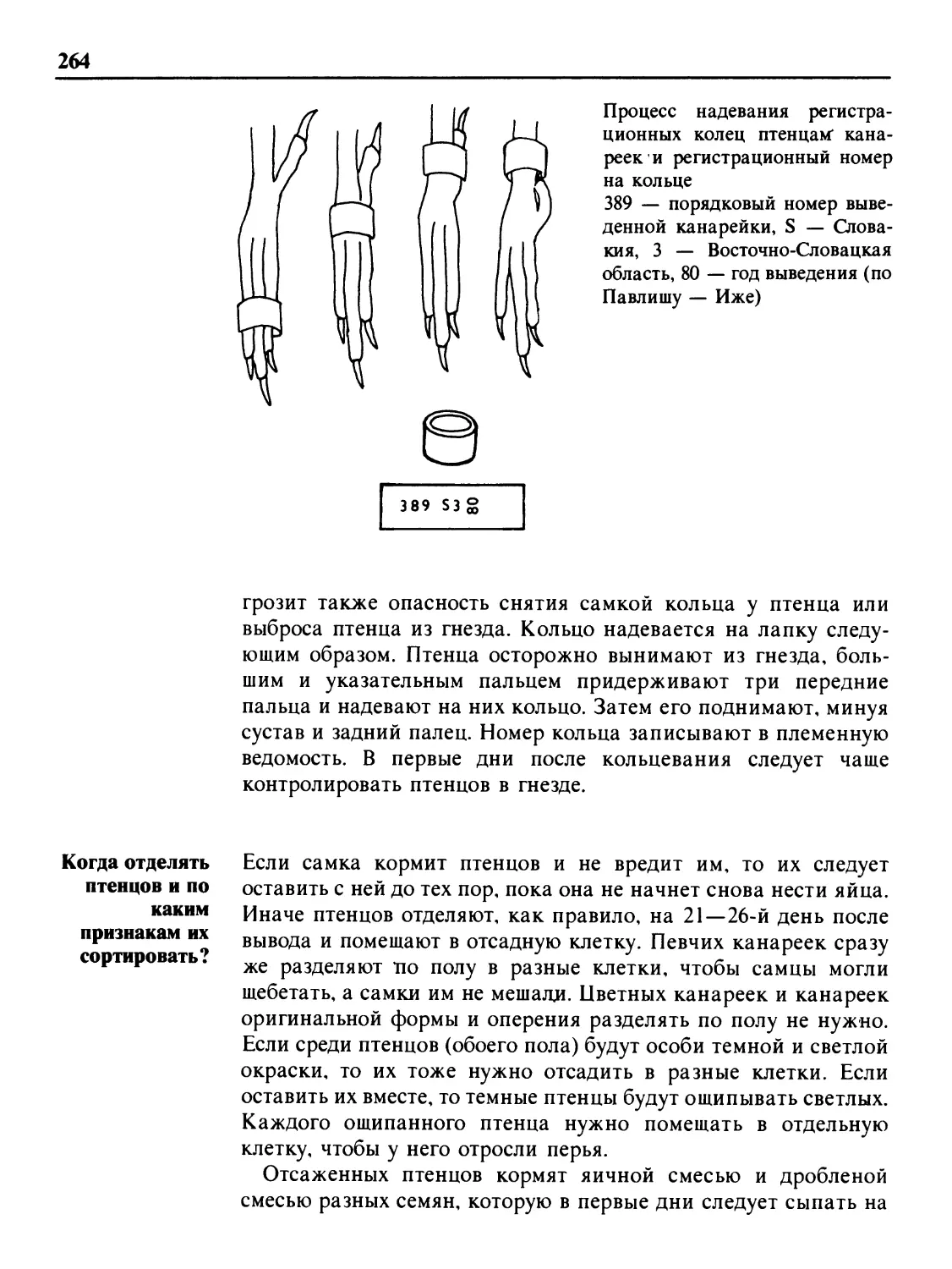 Когда отделять птенцов и по каким признакам их сортировать?