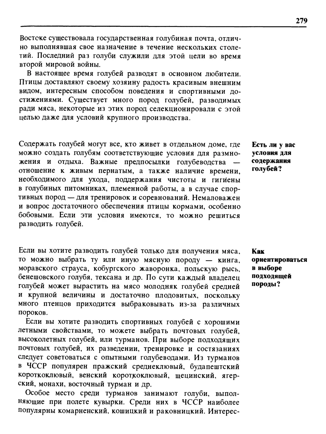 Есть ли у вас условия для содержания голубей?
Как ориентироваться в выборе подходящей породы?