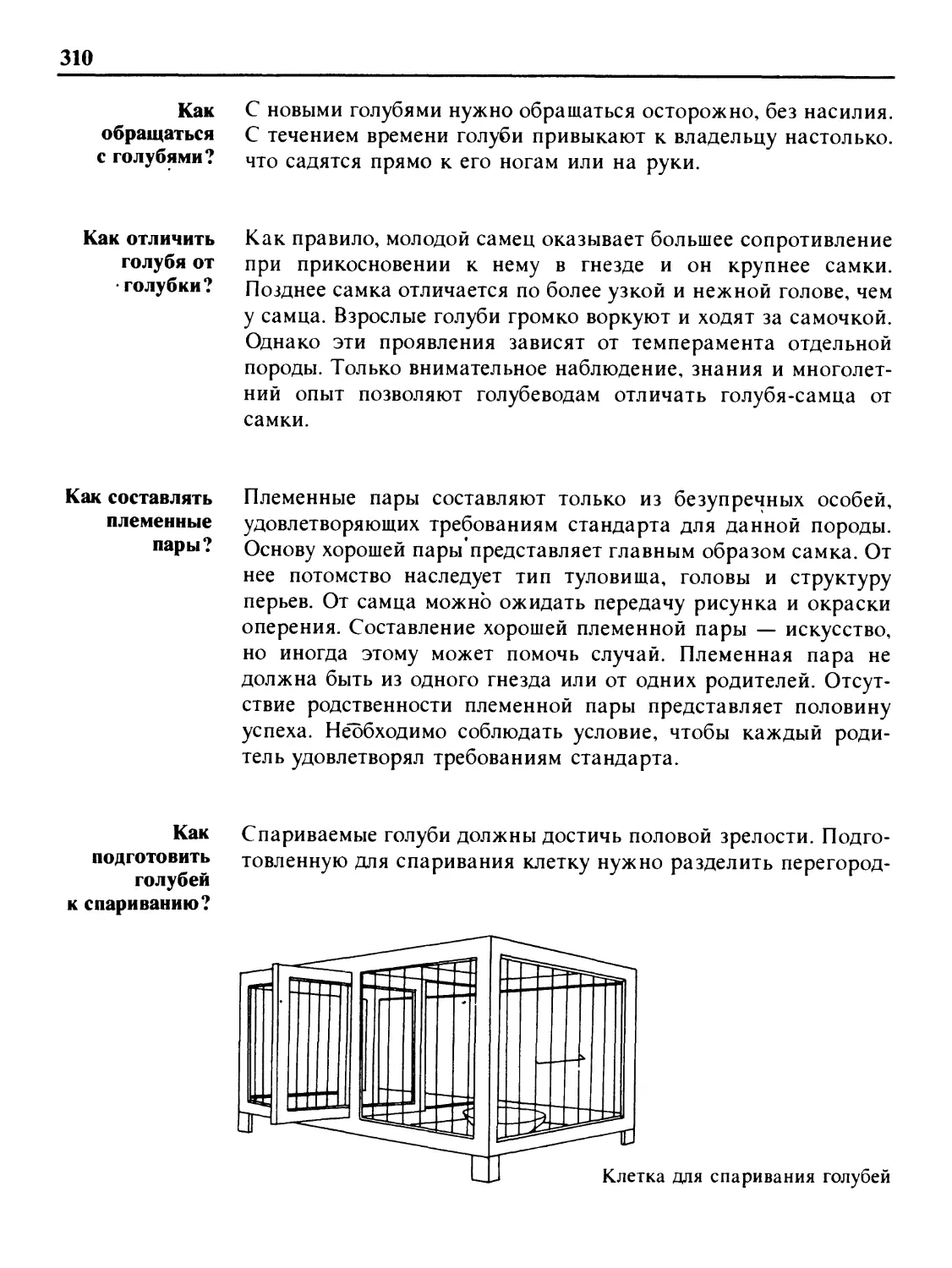 Как отличить голубя от голубки?
Как составлять племенные пары?
Как подготовить голубей к спариванию?